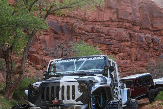 2019 EASTER JEEP SAFARI (1 of 4) 21