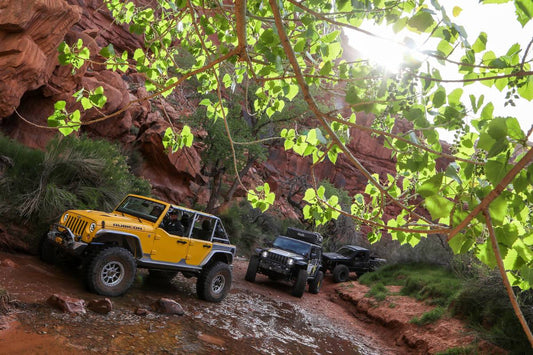 2019 EASTER JEEP SAFARI (1 of 4) 26