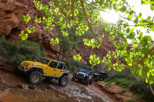 2019 EASTER JEEP SAFARI (1 of 4) 27