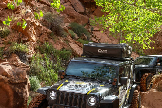 2019 EASTER JEEP SAFARI (1 of 4) 31