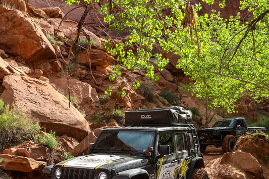 2019 EASTER JEEP SAFARI (1 of 4) 32