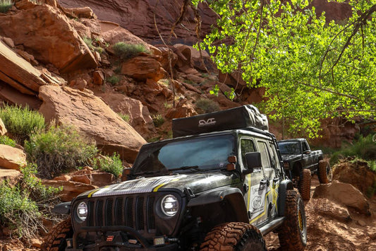 2019 EASTER JEEP SAFARI (1 of 4) 33