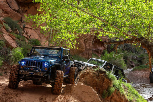 2019 EASTER JEEP SAFARI (1 of 4) 35