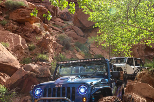 2019 EASTER JEEP SAFARI (1 of 4) 36