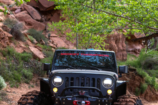 2019 EASTER JEEP SAFARI (1 of 4) 41