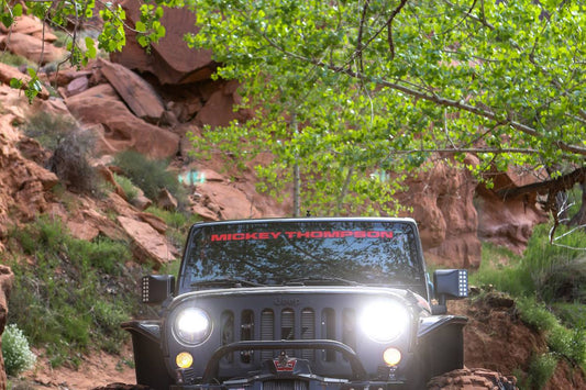 2019 EASTER JEEP SAFARI (1 of 4) 43