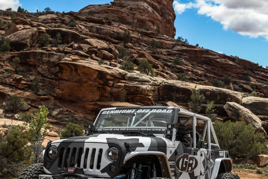 2019 EASTER JEEP SAFARI (2 of 4) 17