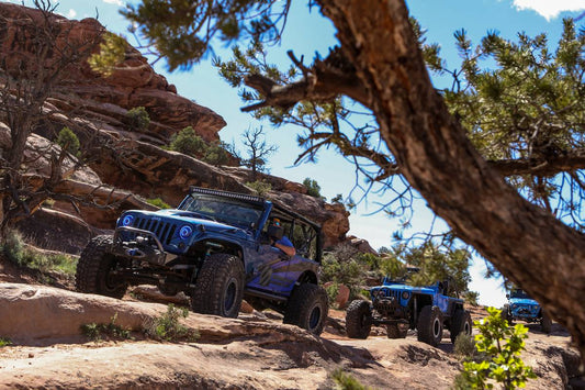 2019 EASTER JEEP SAFARI (2 of 4) 23