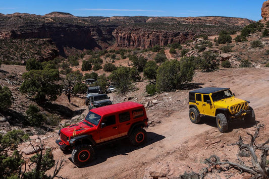 2019 EASTER JEEP SAFARI (2 of 4) 5