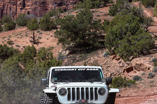 2019 EASTER JEEP SAFARI (2 of 4) 23