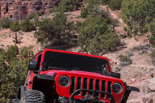 2019 EASTER JEEP SAFARI (2 of 4) 27