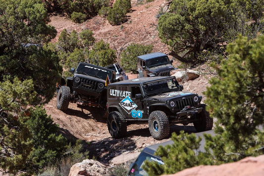 2019 EASTER JEEP SAFARI (2 of 4) 29