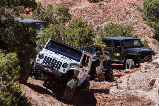 2019 EASTER JEEP SAFARI (2 of 4) 30