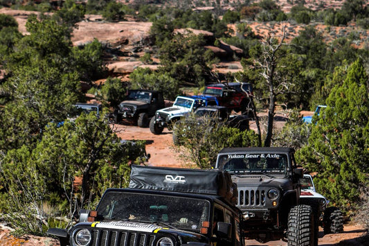 2019 EASTER JEEP SAFARI (3 of 4) 20