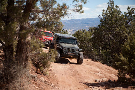 2016 EASTER JEEP SAFARI 5