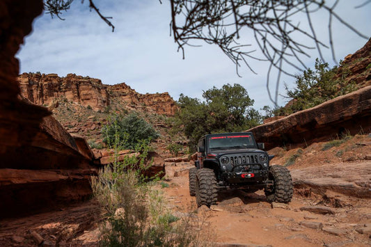 2019 EASTER JEEP SAFARI (4 of 4) 12